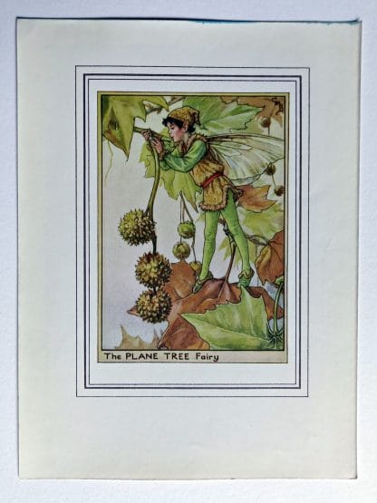 Plane Tree Vintage Flower Fairy Print