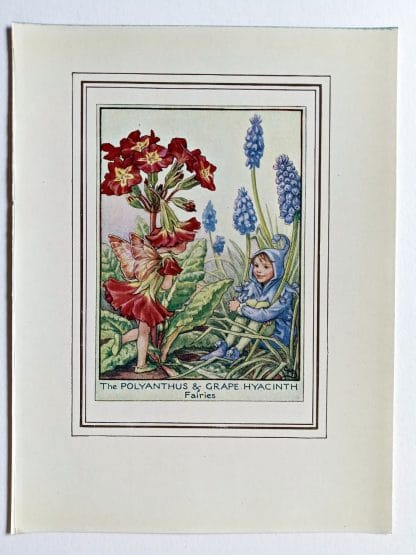 Polyanthus and Grape Hyacinth Fairies Print