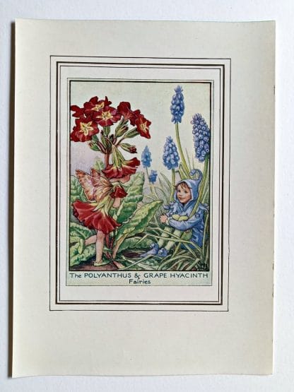 Polyanthus and Grape Hyacinth Vintage Fairy Print