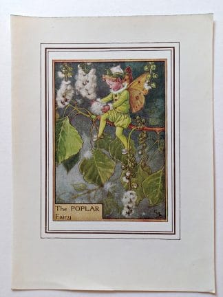 Poplar Fairies Print