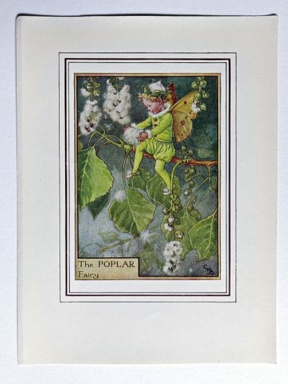 Poplar Fairy Print