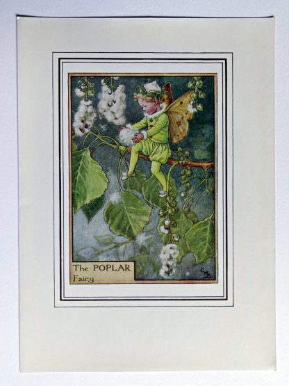 Poplar Vintage Flower Fairy Print