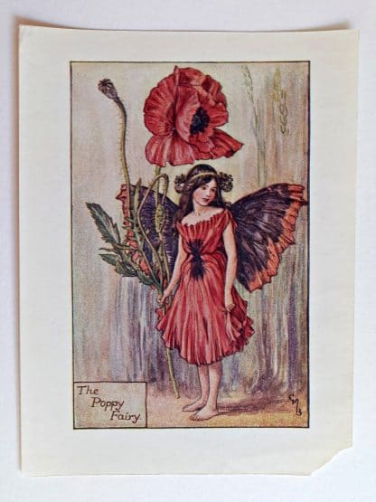 Poppy Fairy Print