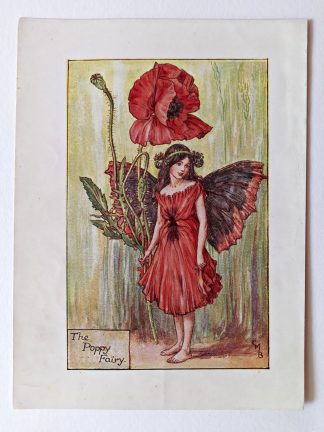 Poppy Flower Fairy Print