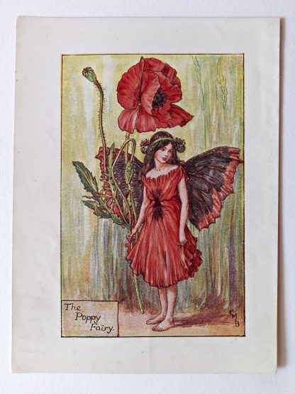 Poppy Flower Fairy Print