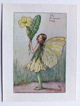 Primrose Flower Fairy Print