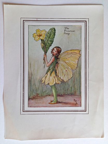 Primrose Vintage Fairy Print