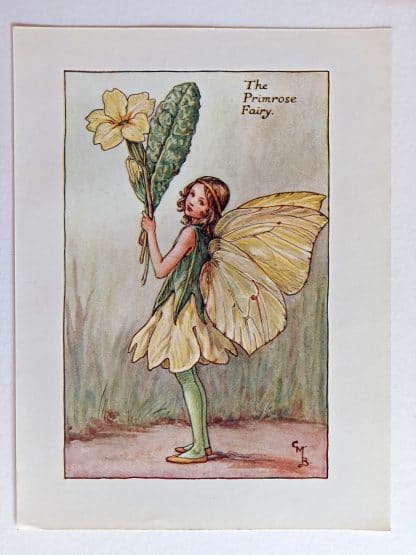 Primrose Vintage Flower Fairy Print