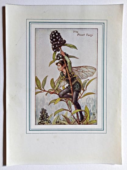 Privet Vintage Flower Fairy Print