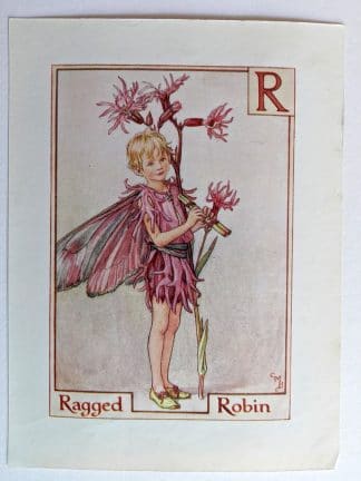 Ragged Robin Fairies Print