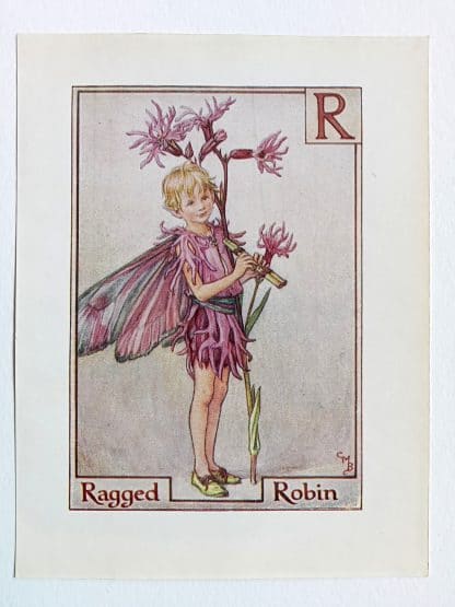 Ragged Robin Flower Fairy Print
