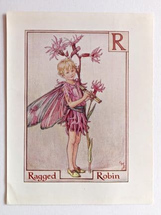 Ragged Robin Vintage Fairy Print