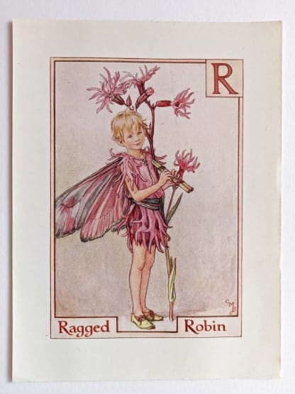 Ragged Robin Vintage Flower Fairy Print