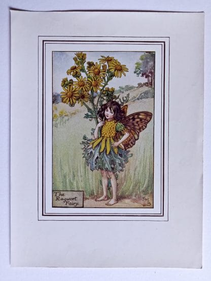 Ragwort Fairy Print