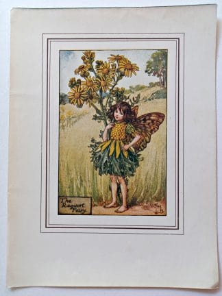 Ragwort Vintage Fairy Print