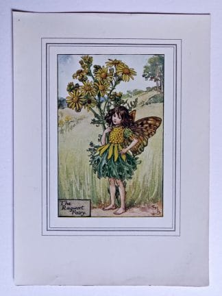 Ragwort Vintage Flower Fairy Print