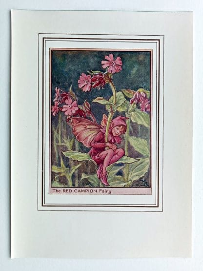 Red Campion Fairy Print