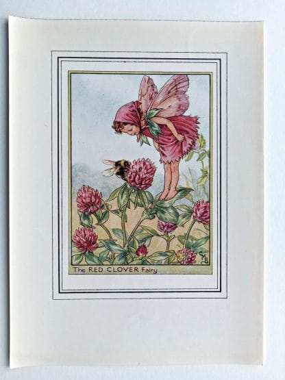 Red Clover Fairy Print