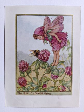Red Clover Flower Fairy Print