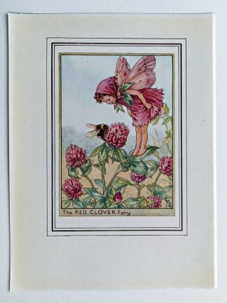 Red Clover Vintage Flower Fairy Print