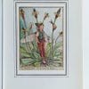 Ribwort Plantain Fairies Print
