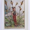 Ribwort Plantain Flower Fairy Print