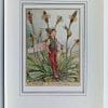 Ribwort Plantain Vintage Fairy Print