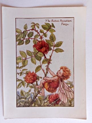 Robins Pincushion Fairies Print