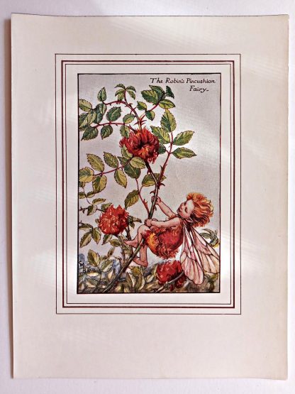 Robins Pincushion Fairy Print