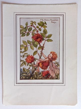 Robins Pincushion Vintage Fairy Print