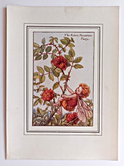 Robins Pincushion Vintage Flower Fairy Print