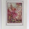 Rose Bay Willow Herb Fairies Print