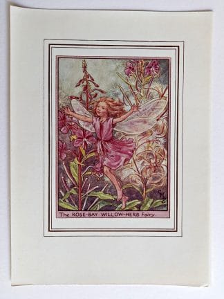 Rose Bay Willow Herb Fairies Print