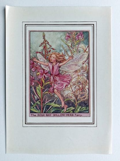 Rose Bay Willow Herb Fairy Print