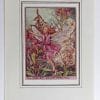 Rose Bay Willow Herb Vintage Fairy Print