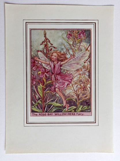 Rose Bay Willow Herb Vintage Fairy Print