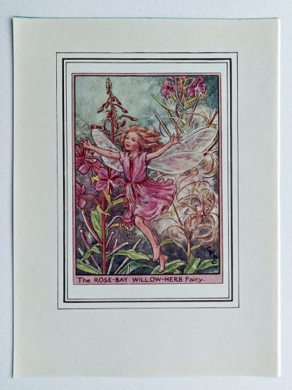 Rose Bay Willow Herb Vintage Flower Fairy Print