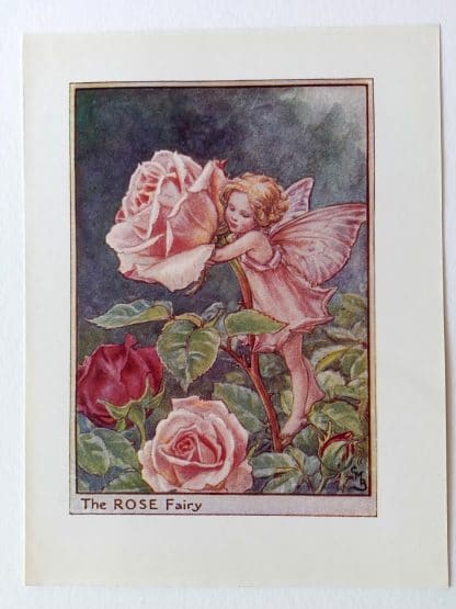 Rose Flower Fairy Print