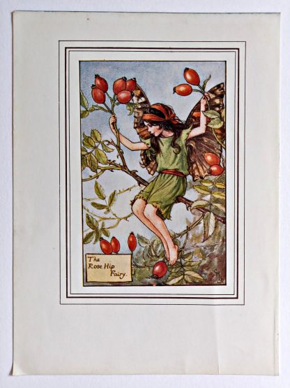 Rosehip Fairy Print