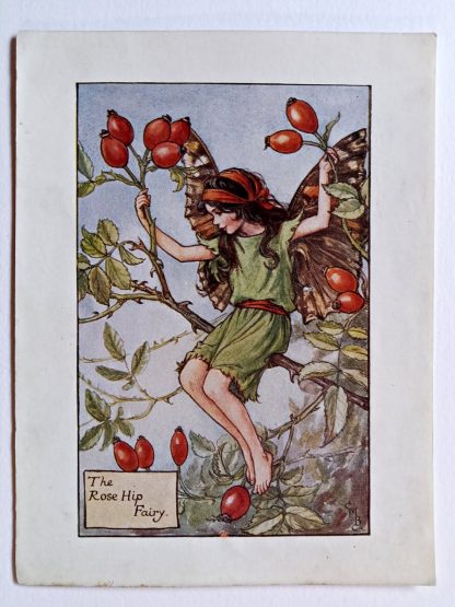 Rosehip Flower Fairy Print