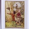 Rush Grass Cotton Grass Flower Fairy Print