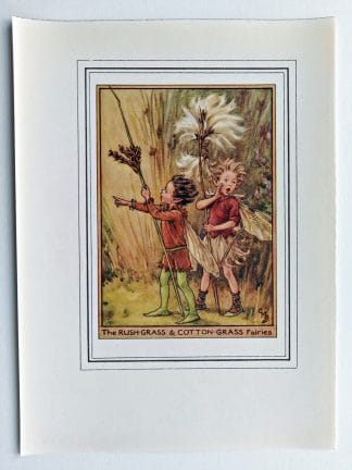 Rush Grass Cotton Grass Vintage Fairy Print