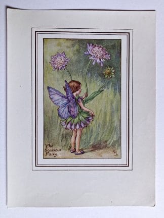 Scabious Fairy Print