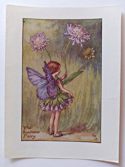 Scabious Vintage Fairy Print