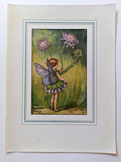 Scabious Vintage Flower Fairy Print