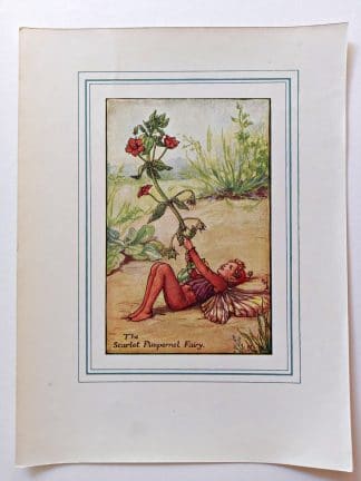 Scarlet Pimpernel Fairies Print
