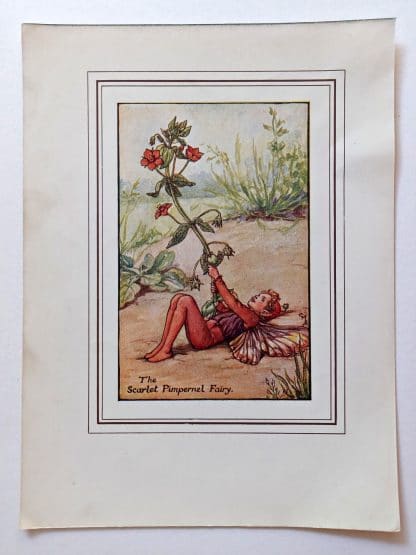 Scarlet Pimpernel Vintage Fairy Print