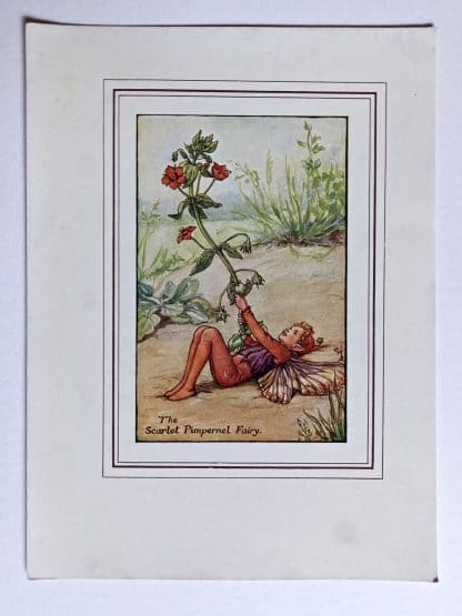 Scarlet Pimpernel Vintage Flower Fairy Print
