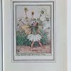 Scentless Mayweed Fairies Print