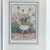 Scentless Mayweed Vintage Fairy Print